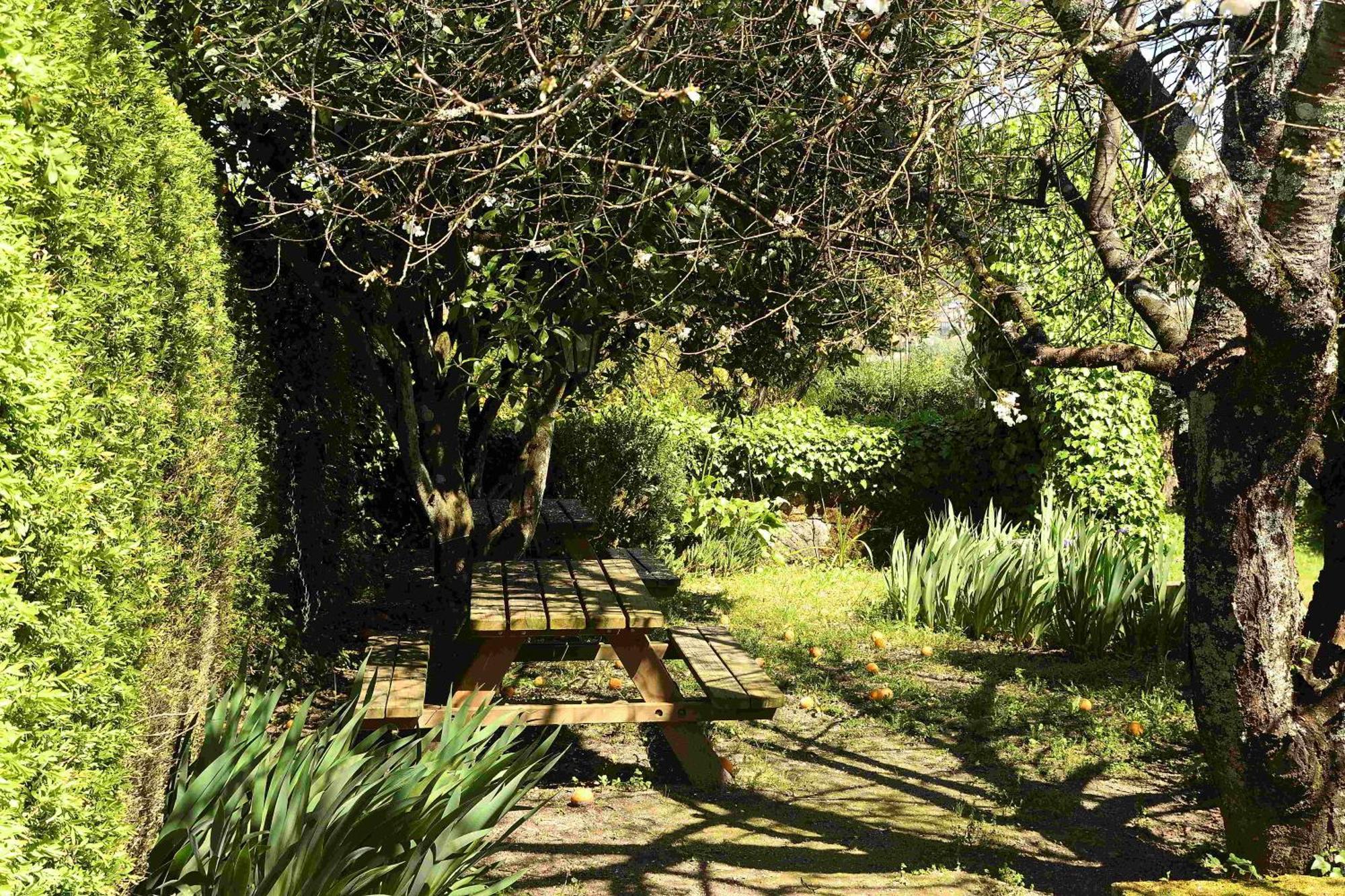 Quinta Da Fata Villa Nelas Buitenkant foto