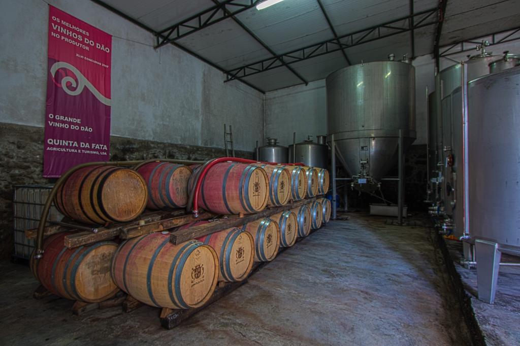 Quinta Da Fata Villa Nelas Buitenkant foto