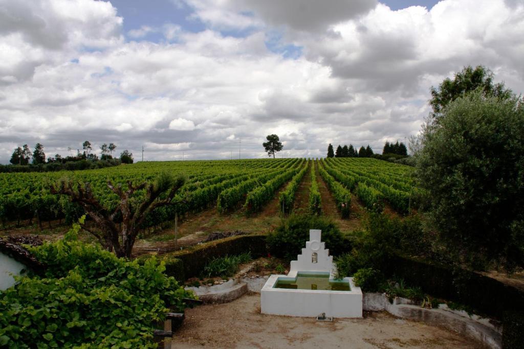 Quinta Da Fata Villa Nelas Buitenkant foto